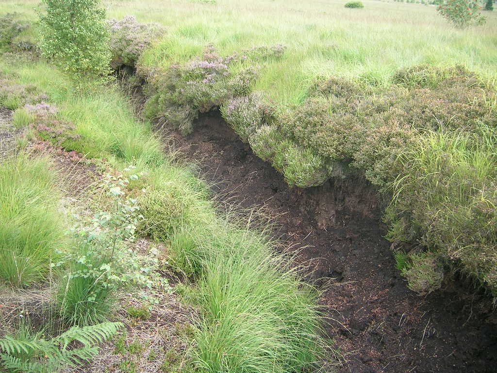 Source de la Polleur